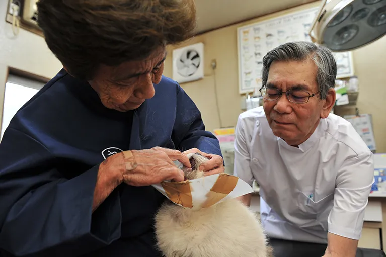 歯石除去